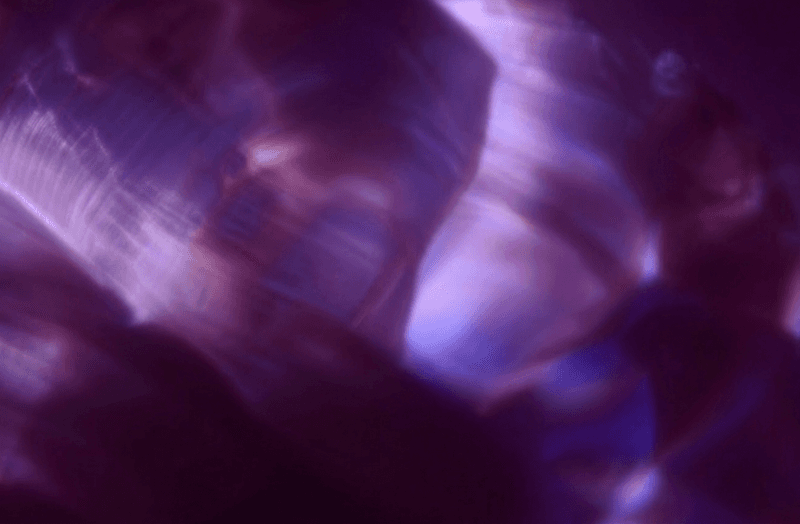 Operations Intelligence